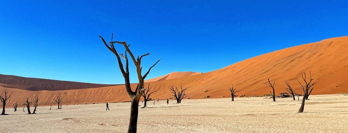 Namib Naukluft National Park is one of Destinations.