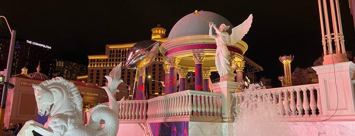 The Colosseum at Caesars Palace is one of 4sqDiscoveries.