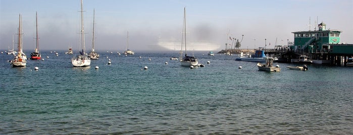 Little Harbor, Santa Catalina Island is one of 4thWorldWarSquare.