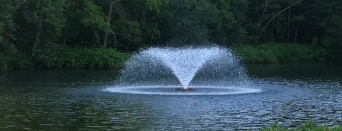 Veterans Park is one of สถานที่ที่ Lily ถูกใจ.