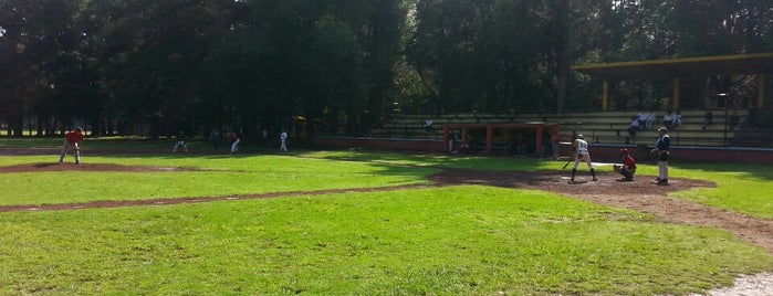 Campo 3 De Baseball is one of Lugares favoritos de Hugo A..