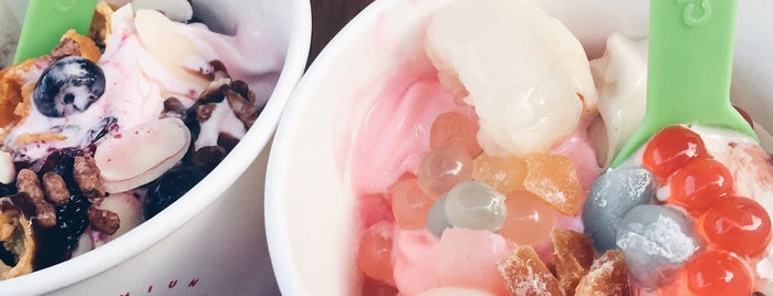 YogurBerry is one of Frozen yoghurt.