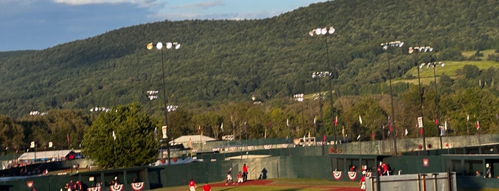 Cooperstown Dreams Park is one of Upstate New York.