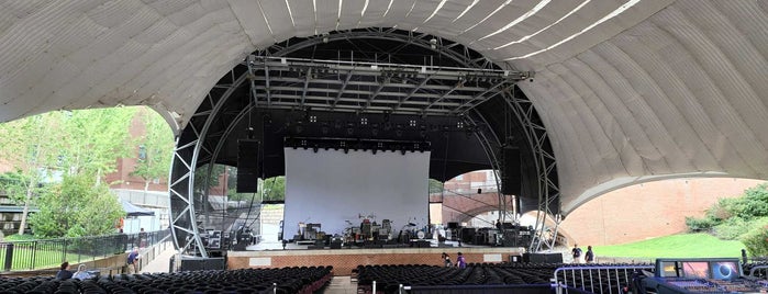 Ting Pavilion is one of C-Ville Music Venues.