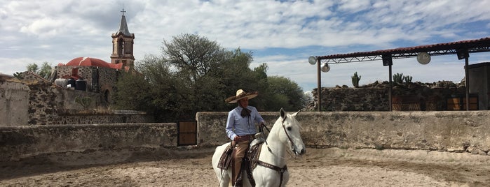 Hacienda San Antonio Calichar is one of Lugares favoritos de Fabiola.