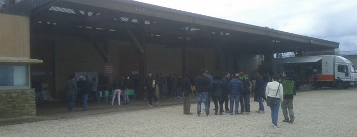 CasalFarneto is one of Cantine delle Marche.