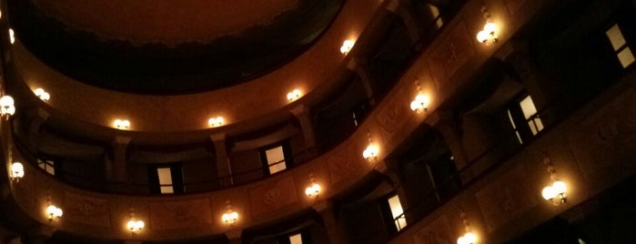 Teatro Angel Dal Foco is one of Teatri delle Marche.