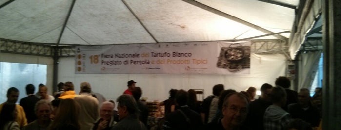 Fiera nazionale del tartufo bianco pregiato di Pergola is one of Valle del Cesano.
