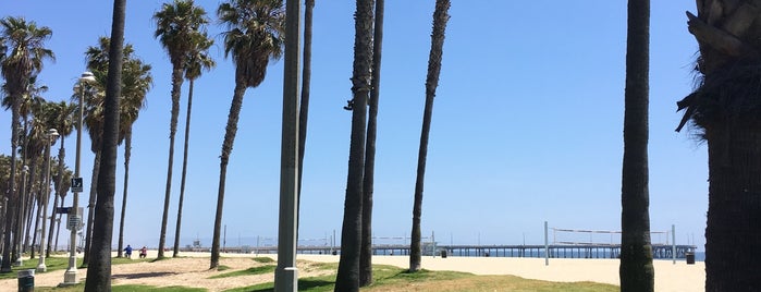 Venice Beach is one of สถานที่ที่ Andy ถูกใจ.