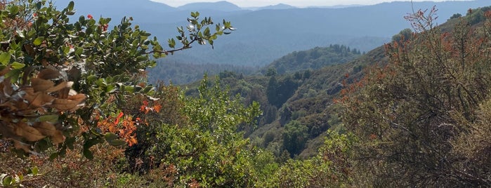 Saratoga Gap Trail is one of Fun in the Sun.