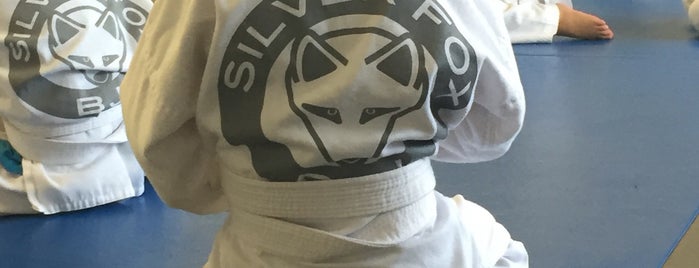 Silverfox Brazilian Jiu Jitsu is one of Jiu-Jitsu, BJJ, MMA Academies.