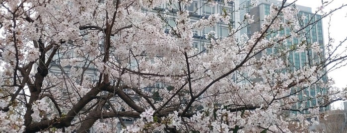 千葉工業大学 津田沼キャンパス is one of B.