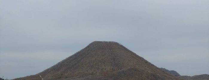 Mt. Harunasan is one of 自然地形.