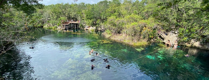 Cenote Jardín del Eden is one of Tulum.