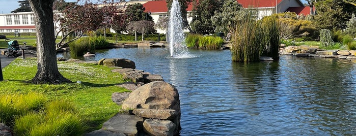 Presidio Pond is one of Marina 🏡🌼.