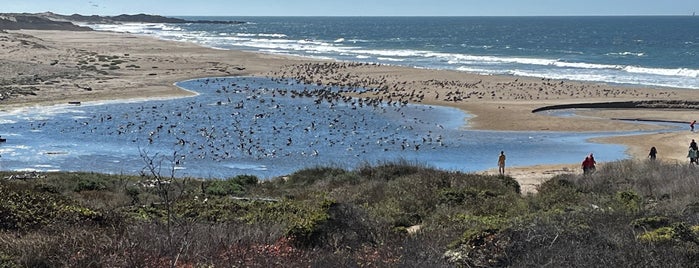 Gazos Creek Beach is one of HWY1: SF to Davenport.