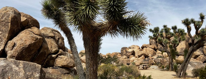 Joshua Tree National Park Visitors Center is one of Jacobo's Saved Places.