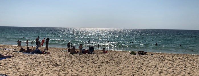 Praia da Comporta is one of Lugares favoritos de Verginia.