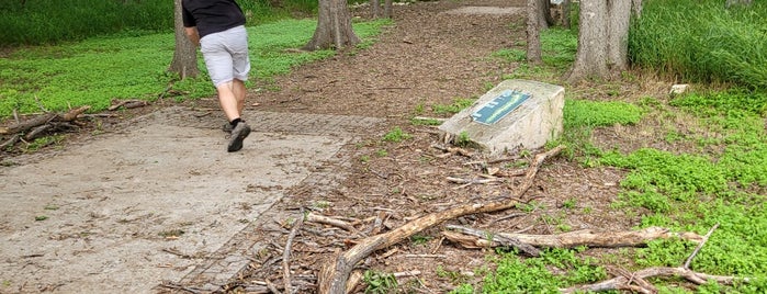 Roy G. Guerrero Disc Golf Course is one of Austin.