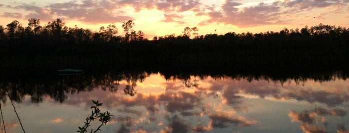 Six Mile Cypress Slough Preserve is one of Scottさんのお気に入りスポット.