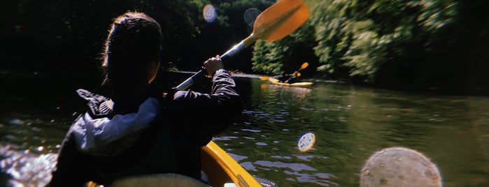 Dinant Évasion - Lesse Kayaks is one of Tellin(-Bure) 2013.