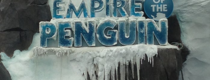 Antarctica: Empire of the Penguin is one of Lieux qui ont plu à Quintain.