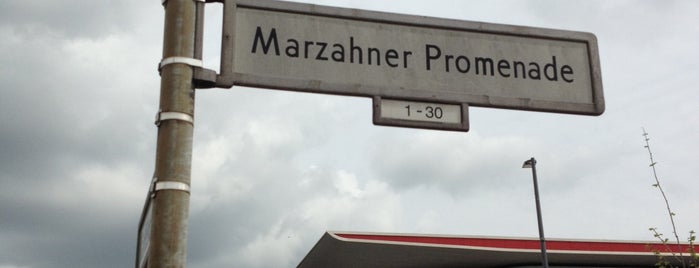 H S Marzahn is one of Berlin MetroTram line M6.