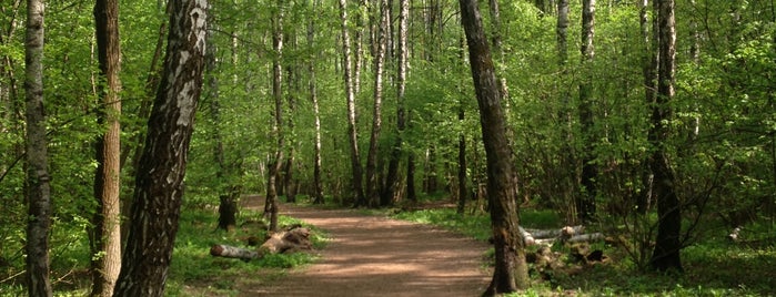 Природно-исторический парк «Москворецкий» is one of Москва, где была 3.