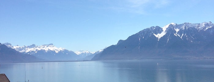 Lavaux Vignoble en Terrasses | Lavaux Vineyard Terraces is one of Geneve.