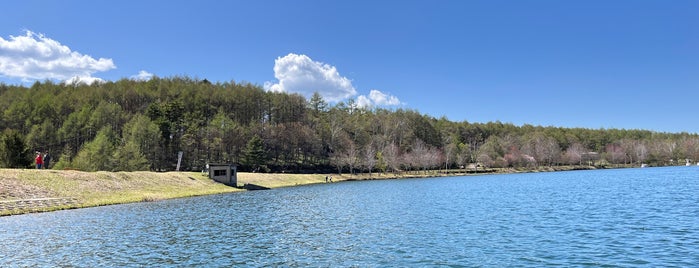 女神湖 is one of 山と高原.