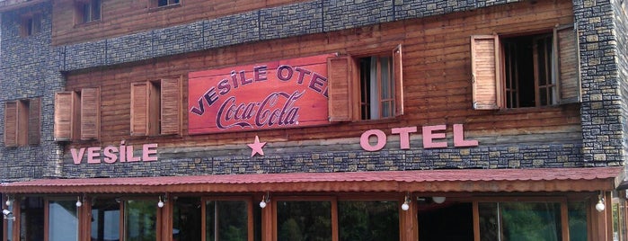 vesile otel is one of Posti che sono piaciuti a Buse.
