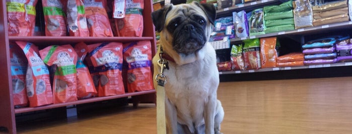 Pet Elements is one of The 13 Best Pet Supplies Stores in Seattle.