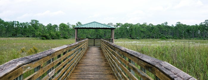The Royal Palm Beach Pines Natural Area is one of Florida visit.