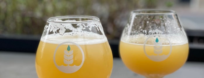 Pure Project Brewing is one of SD Breweries.