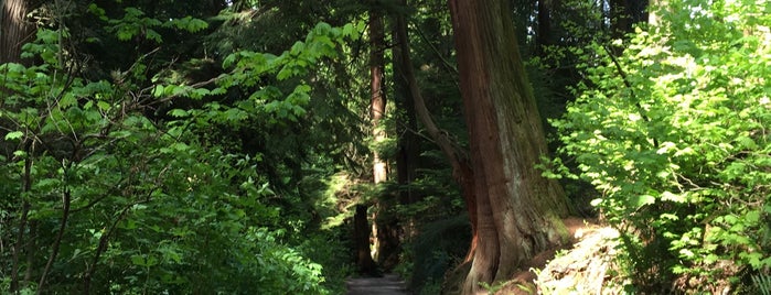 Ravine Trail is one of Vancouver.
