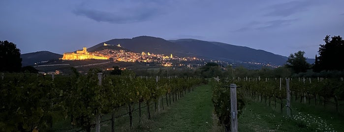 SAIO Winery is one of Le Cantine dell'Umbria.