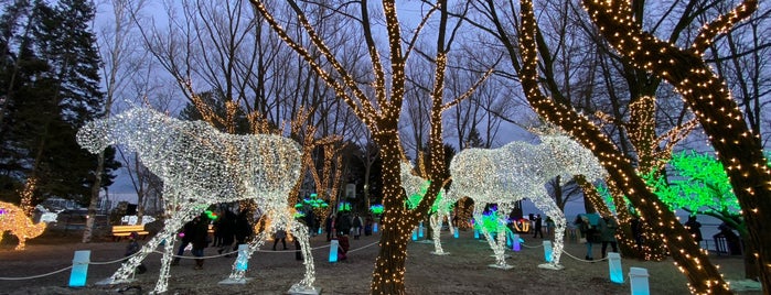 Aurora Winter Festival is one of Events.