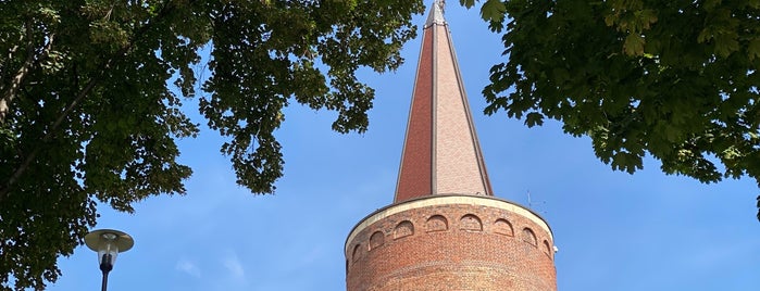Wieża Piastowska is one of Opole.