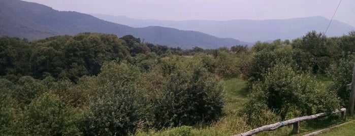 The Orchard at Altapass is one of Blue Ridge Parkway.