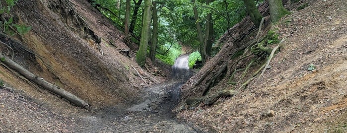 Leith Hill National Trust is one of Δε Γκρειτ Αουτντορς.