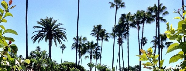 Cabana Cafe at the Beverly Hills Hotel is one of The 11 Best Places for Tortilla Chips in Beverly Hills.