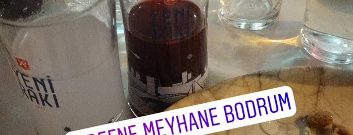 Defne Meyhane is one of Bodrum Balık Rest..