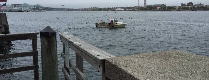 Boston Harbor is one of Leach : понравившиеся места.