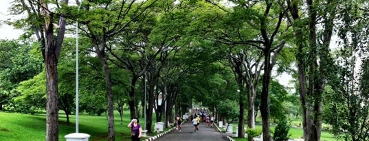 Centro Esportivo, Recreativo e Educativo do Trabalhador (CERET) is one of Sao Paulo's Best Entertainment - 2013.