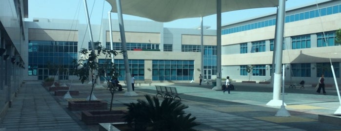 ADNOC Schools is one of Dubai to do list.