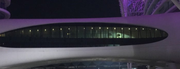 Yas Marina Circuit is one of Ba6aLeE : понравившиеся места.