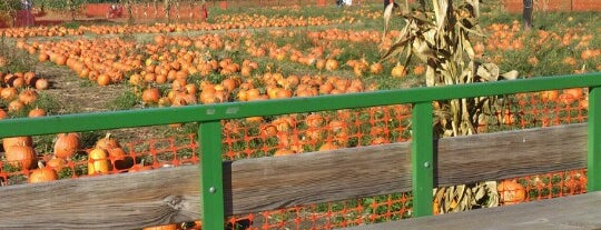 Brightwaters Farm is one of Lieux qui ont plu à Jessica.