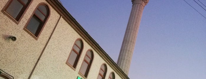 Başiskele Körfez Camii is one of 2019 Marmara.