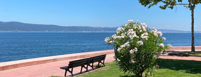Altınkemer Plajı is one of Kocaeli to Do List.