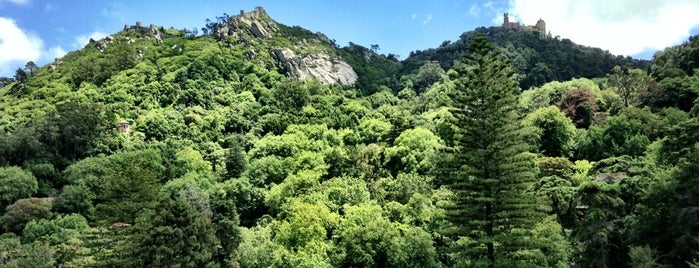 Serra de Sintra is one of Top favorites places in Portugal.